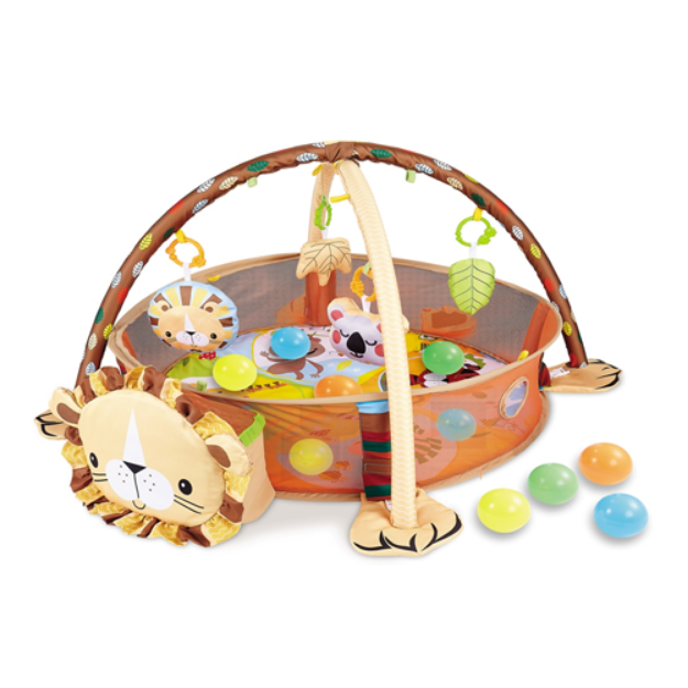 Picture of ACTIVITY GYM & BALL PIT